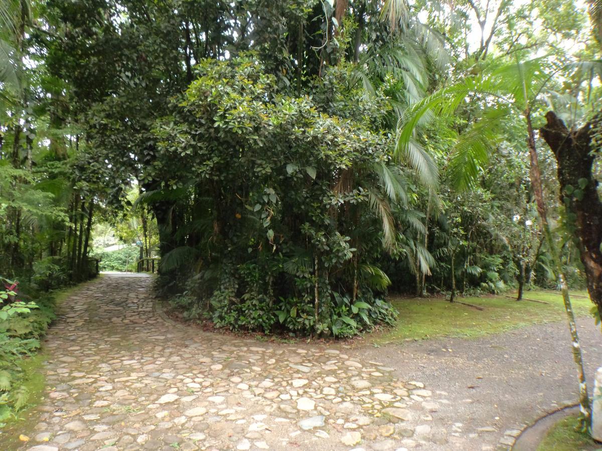 Pousada Itupava Morretes Buitenkant foto